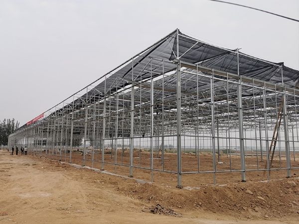 玻璃溫室的優點有哪些？