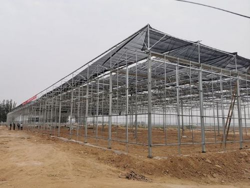 玻璃溫室的優(yōu)點(diǎn)有哪些？